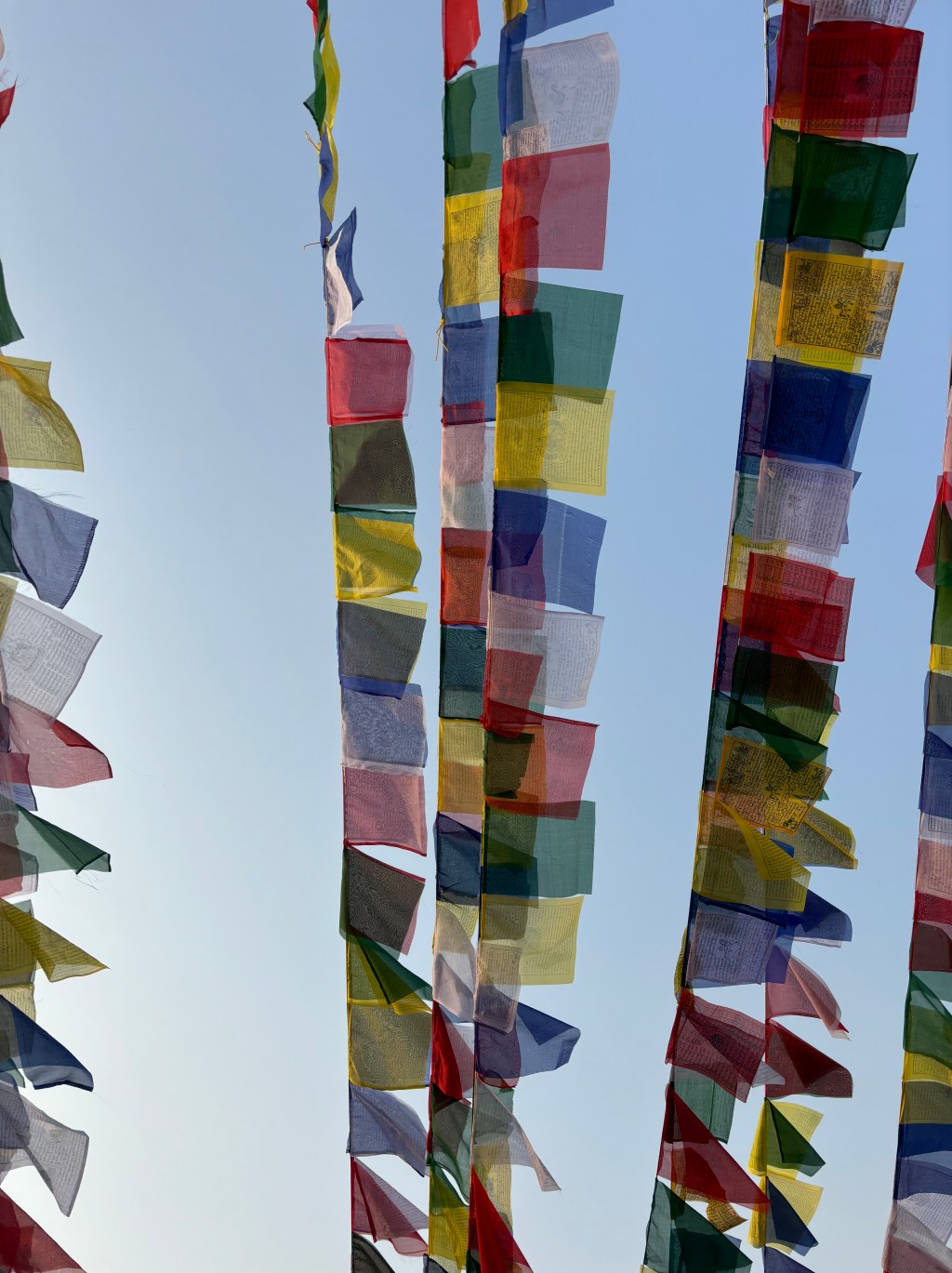 Red Flags, Green Flags, Yellow Flags, Blue Flags, White&nbsp;Flags