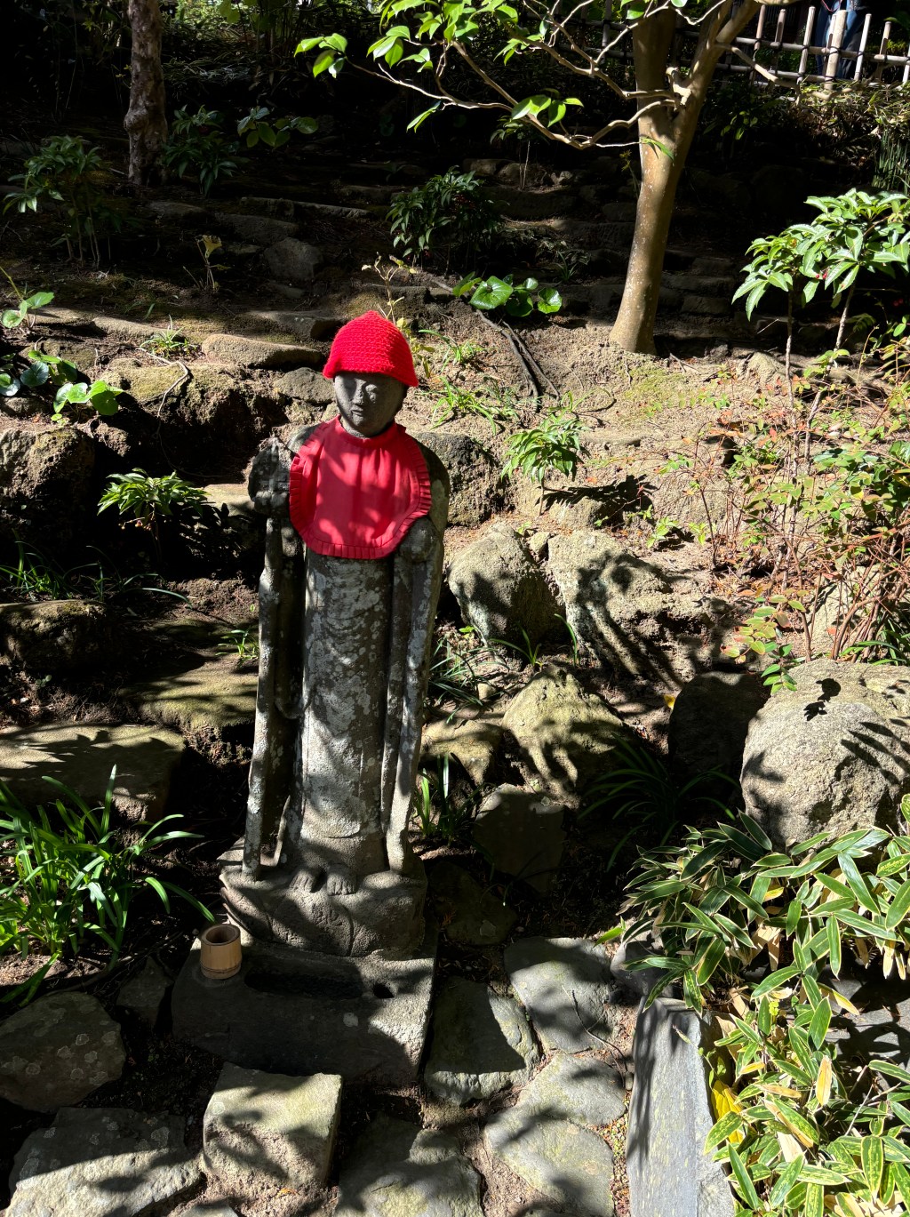 Learning From Differences